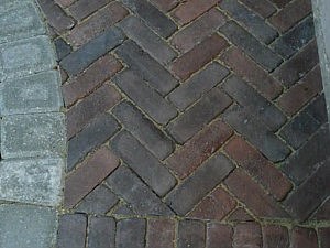 Photo 136